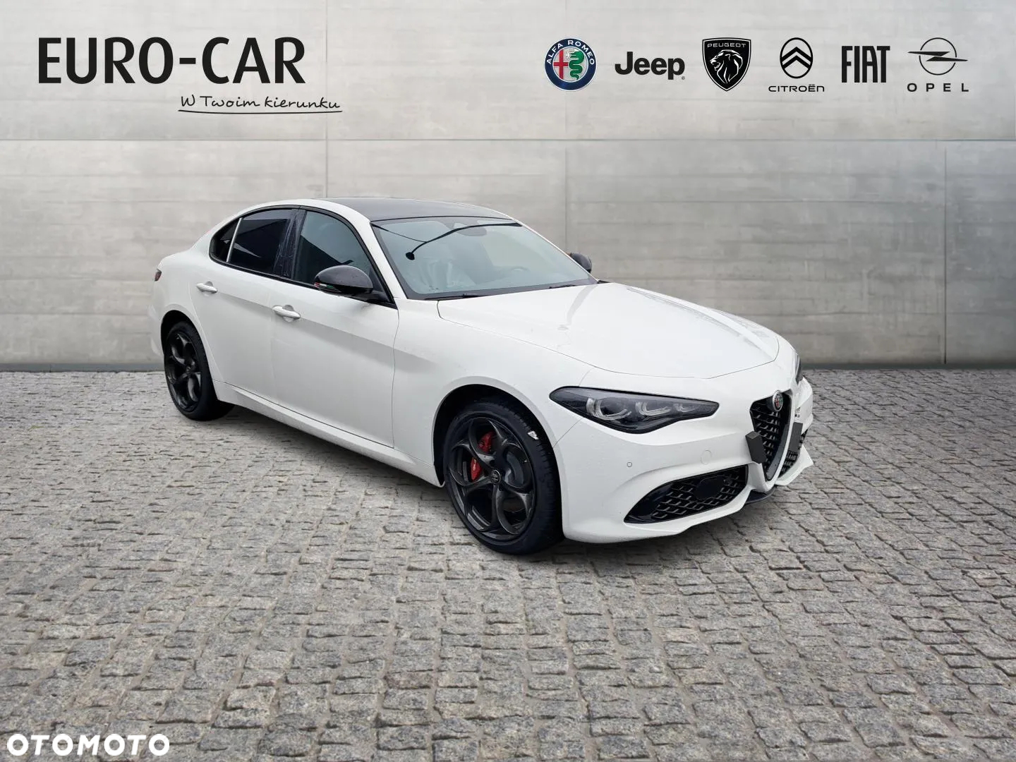 Alfa Romeo Giulia 2.0 Turbo Tributo Italiano Q4 - 7