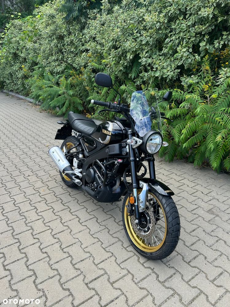 Yamaha XSR - 6