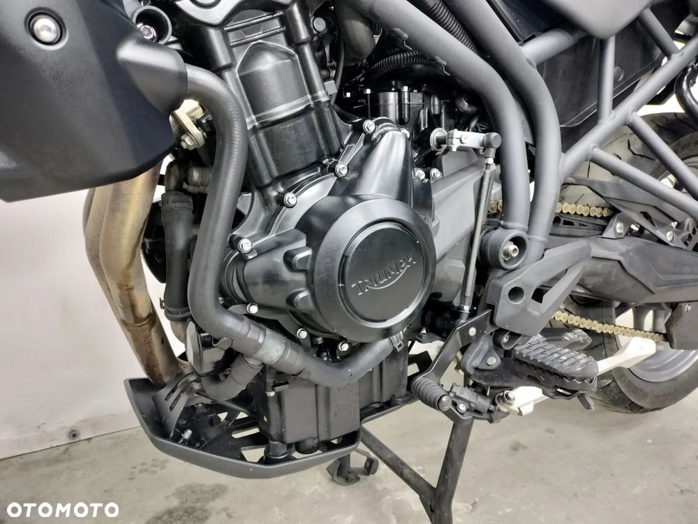 Triumph Tiger - 19