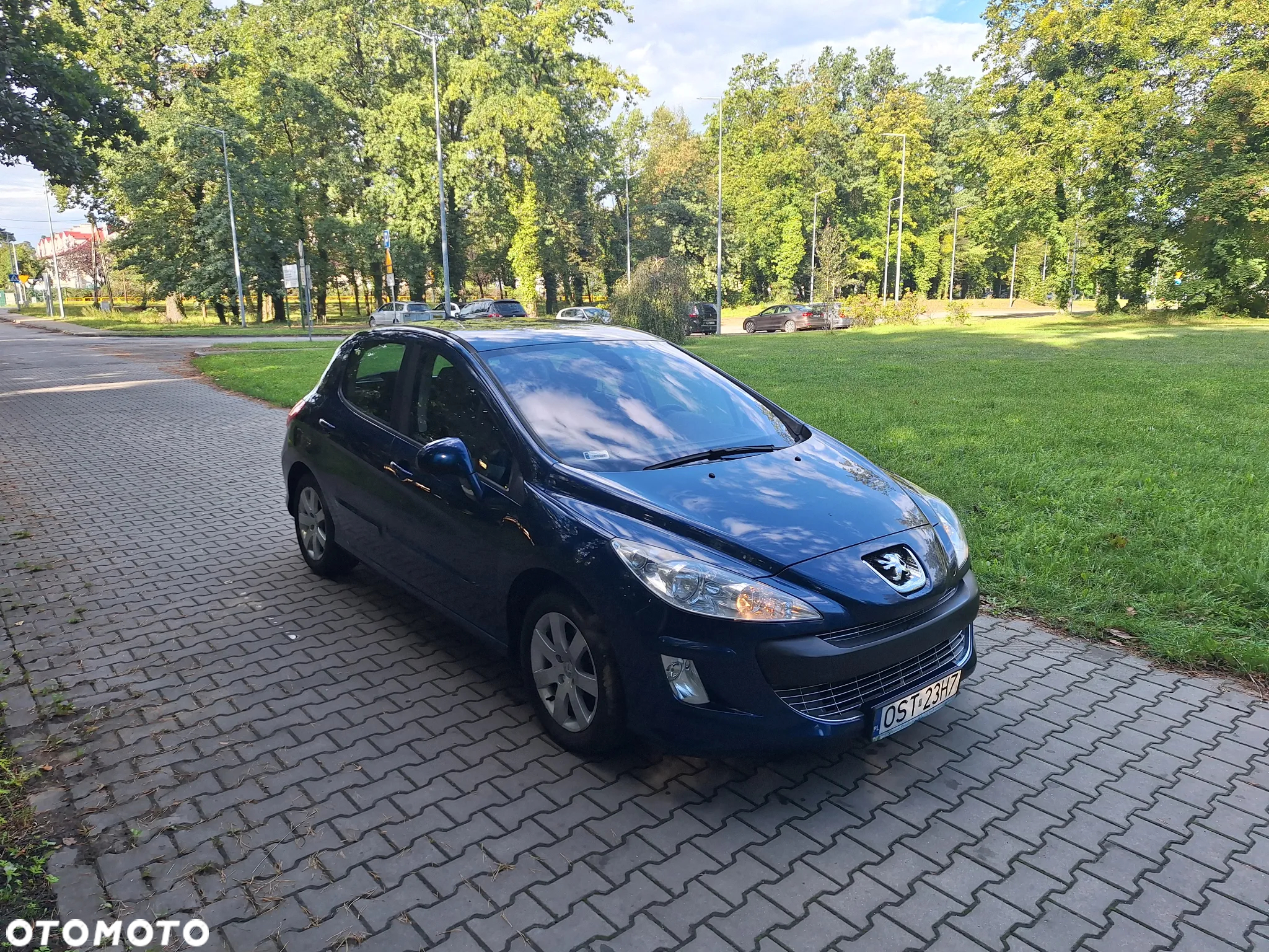 Peugeot 308 - 16