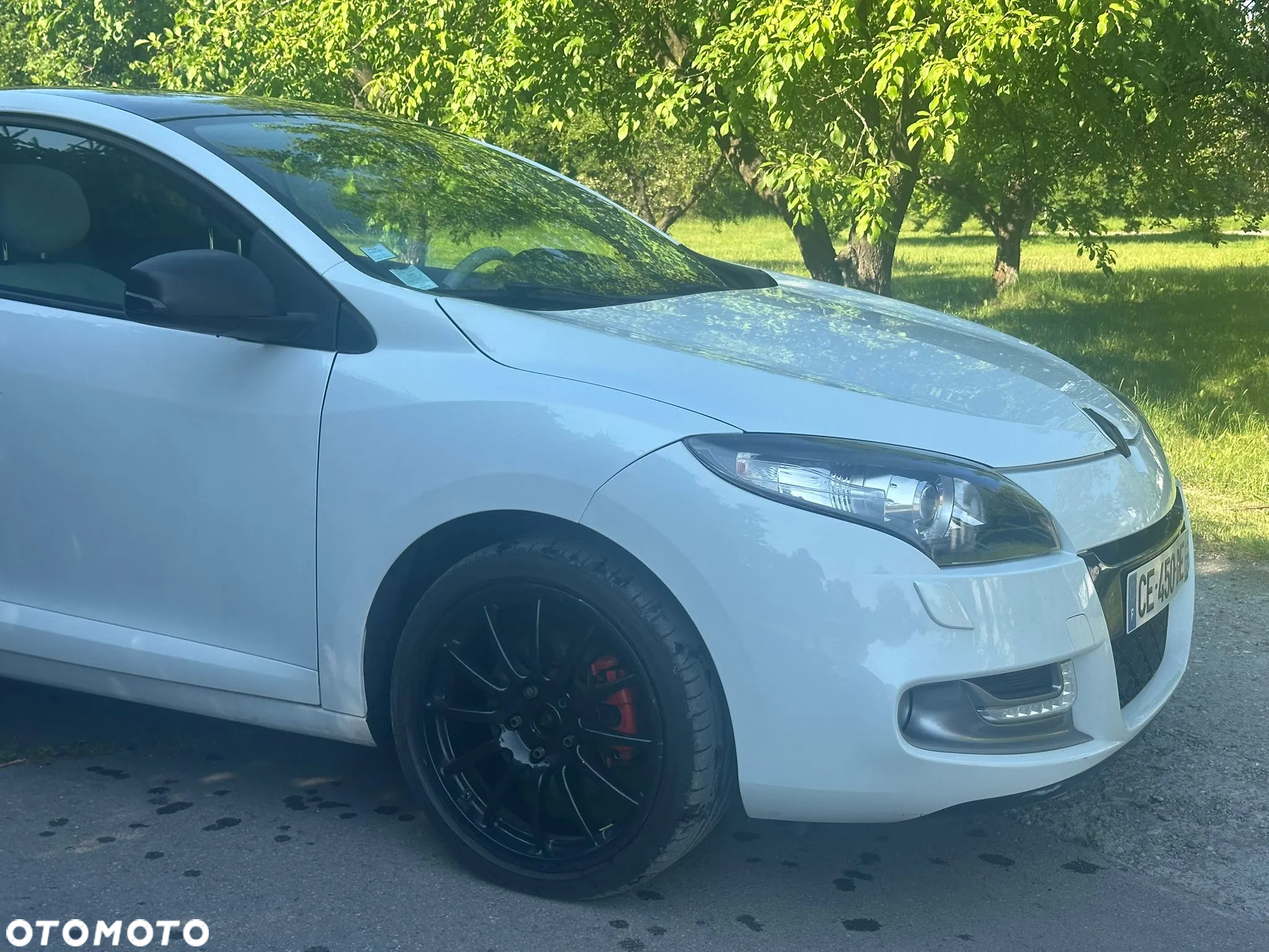 Renault Megane 2.0 16V TCE GT - 8