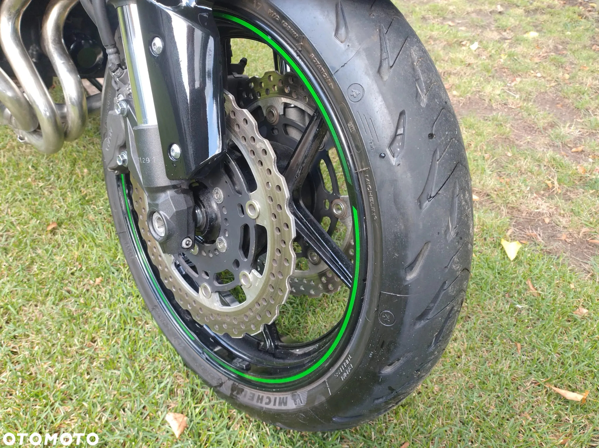Kawasaki Z - 31