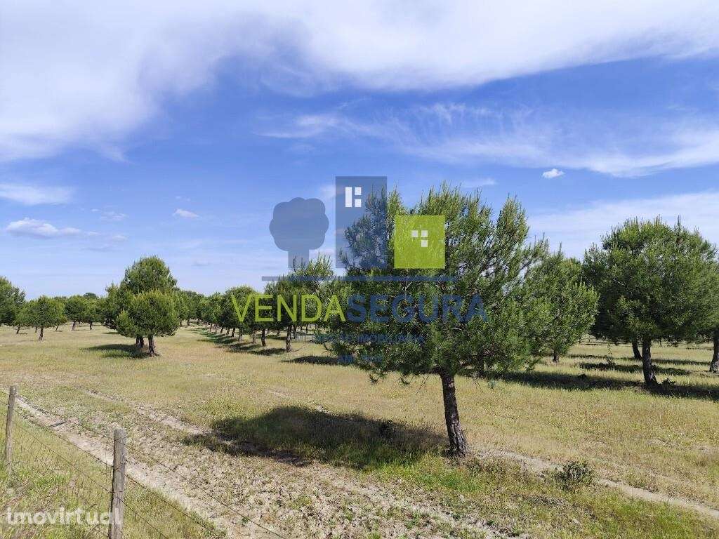 Terreno Rústico 11,425 Ha |Amareleja - Grande imagem: 2/9