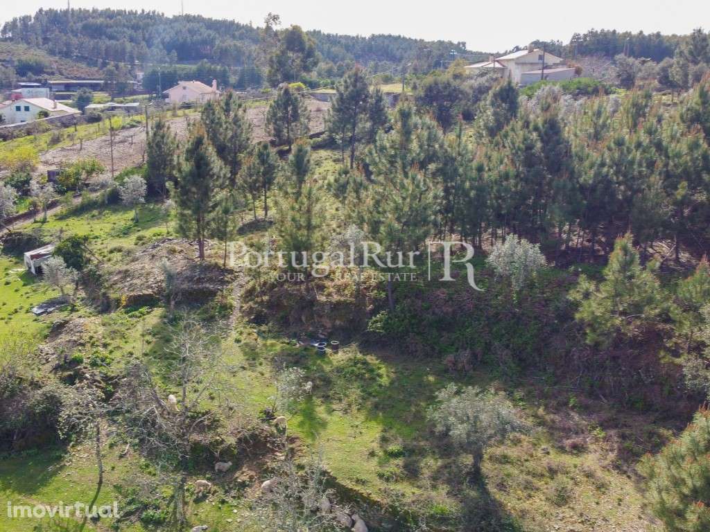 Quintinha com ruínas em Proença-a-Nova - Grande imagem: 4/15