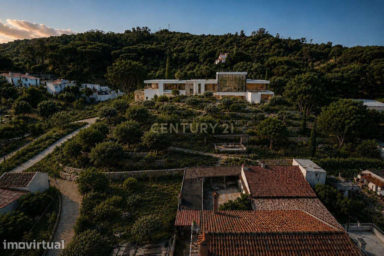 Terreno, 5 800 m², Quinta do Anjo - Grande imagem: 2/24