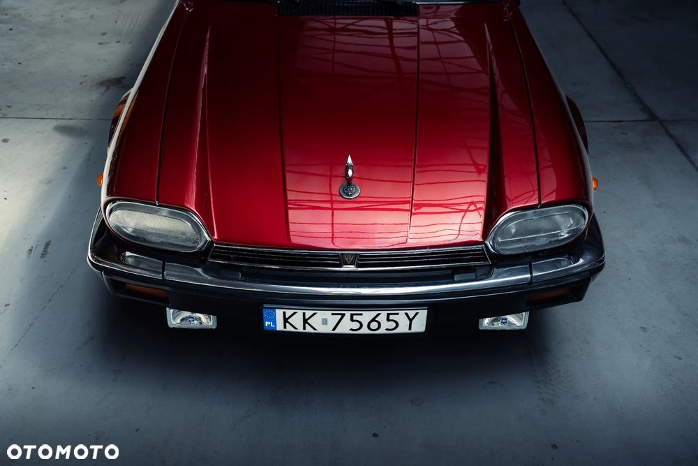 Jaguar XJS - 13