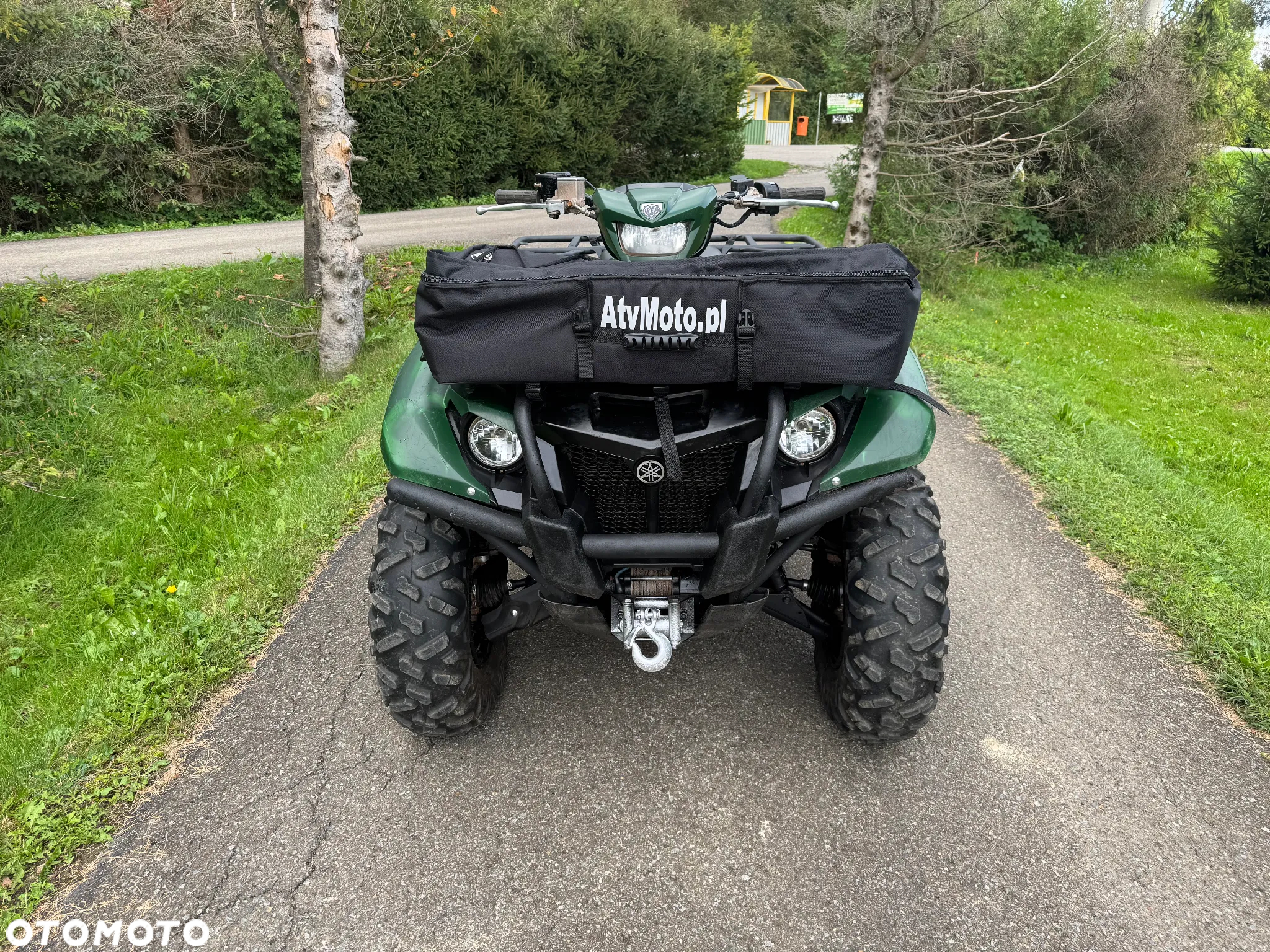 Yamaha Grizzly