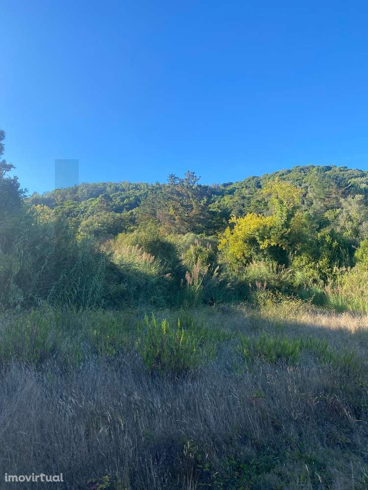 terreno para Venda com 6.020 m2 – Quinta Nova, Famalicão, Nazaré - Grande imagem: 2/26