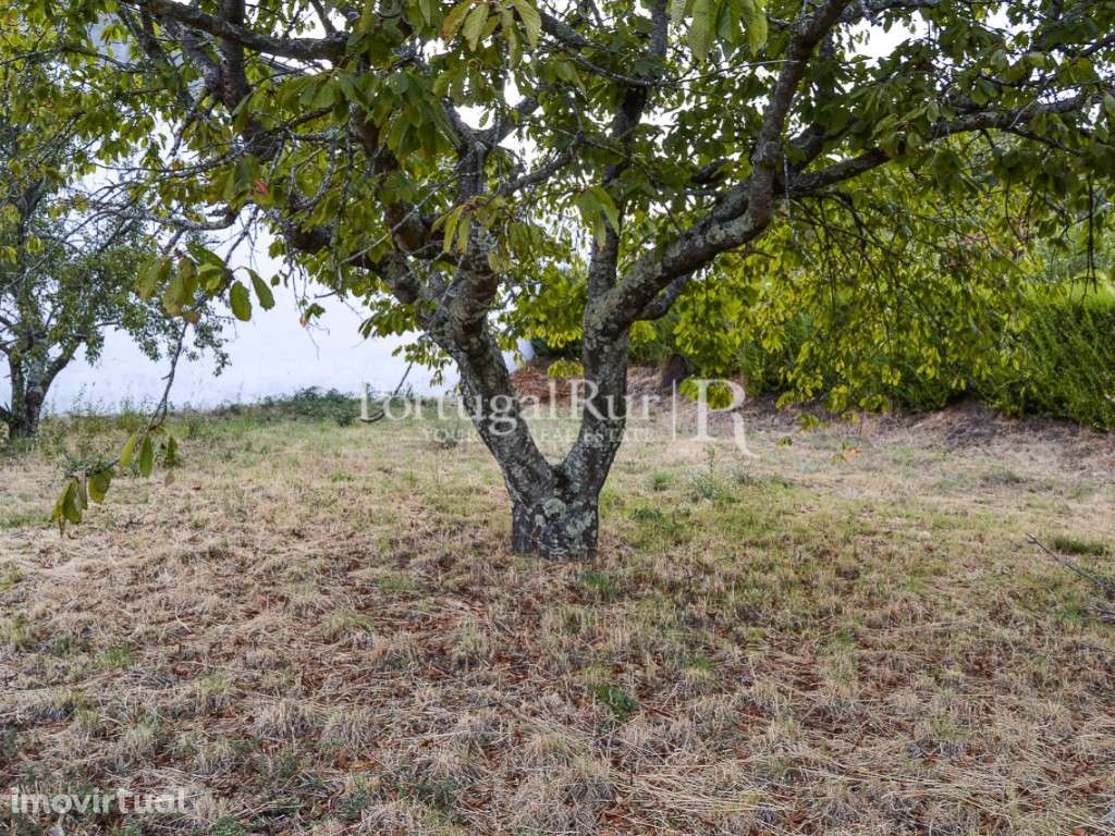Lote na zona de Covilhã - Grande imagem: 2/13