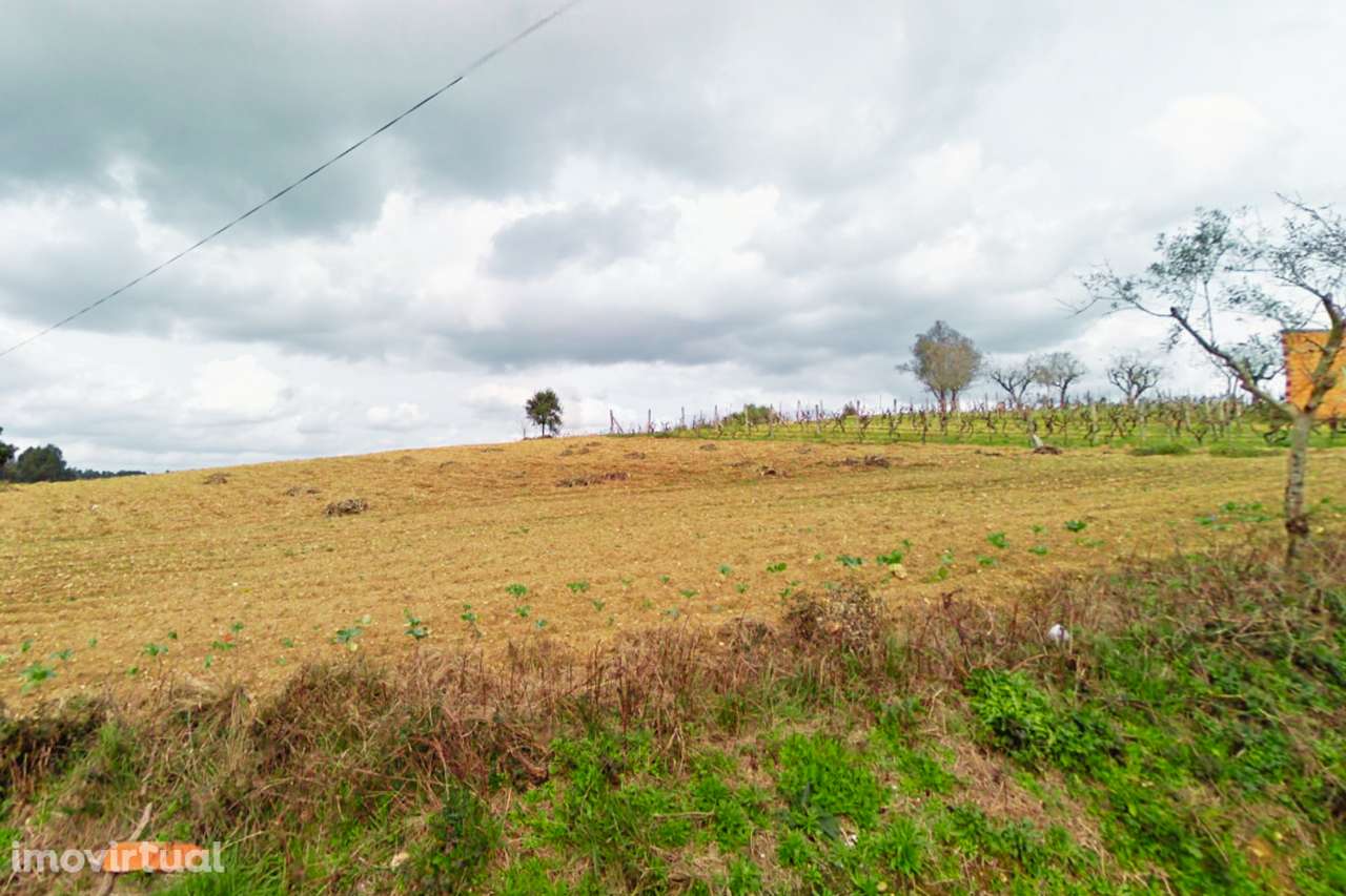 Terreno Urbano no Pereiro, Anadia - Grande imagem: 4/8