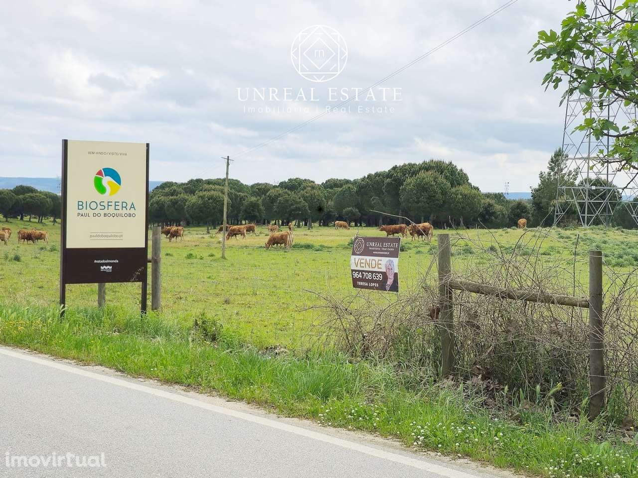Lote de Terreno  Venda em Brogueira, Parceiros de Igreja e Alcorochel, - Grande imagem: 2/13