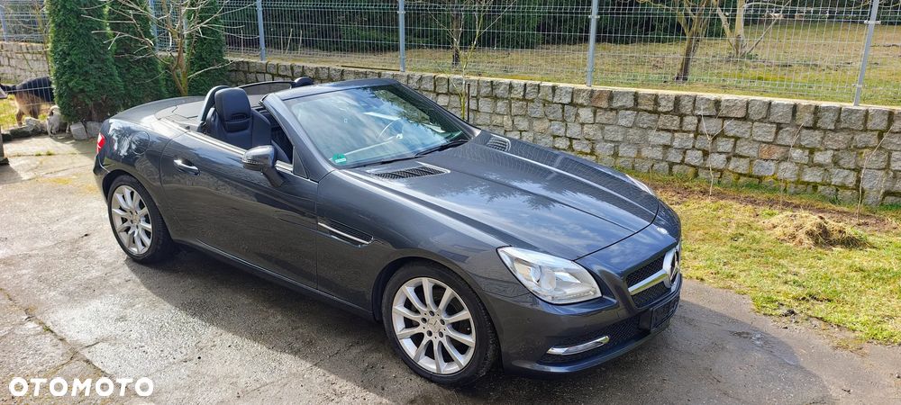 Mercedes-Benz SLK 200 (BlueEFFICIENCY) - 6