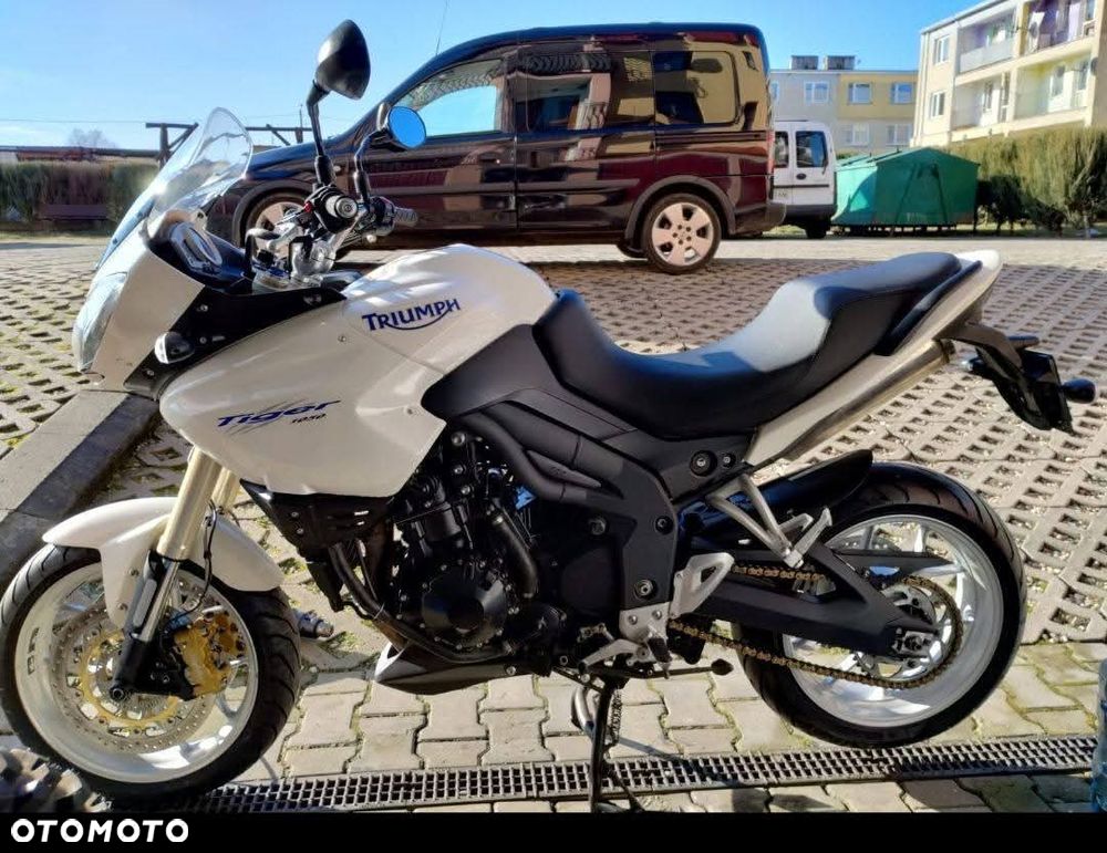 Triumph Tiger - 1