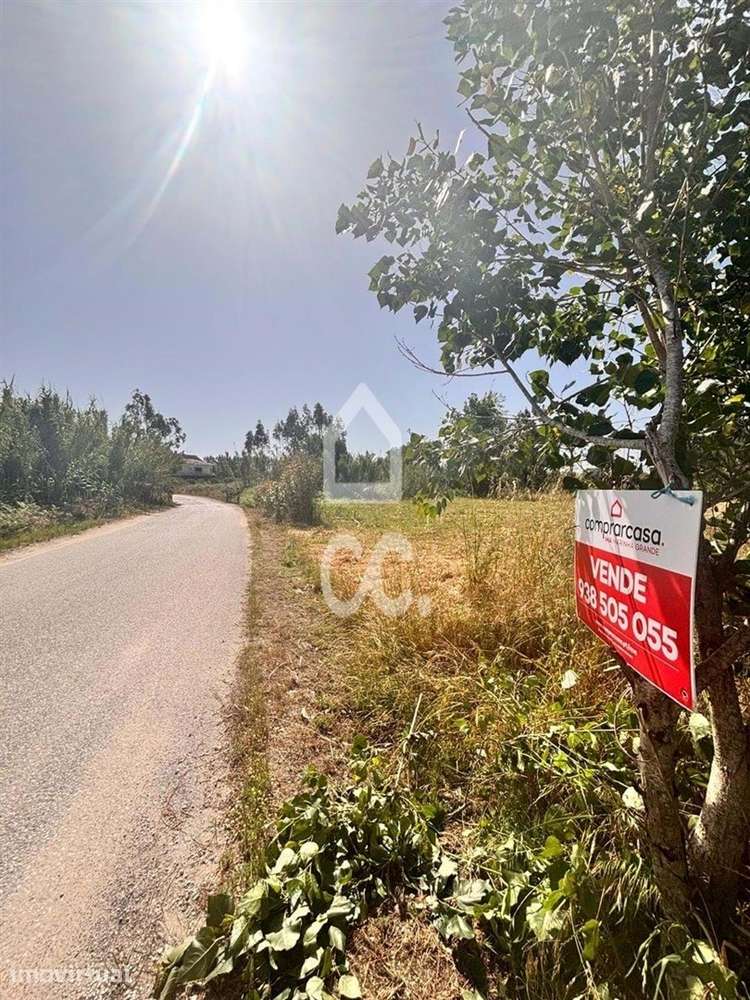 Terreno  Venda em Vieira de Leiria,Marinha Grande - Grande imagem: 3/13