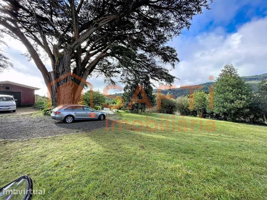 Vende-se moradia no Santo António da Serra com terreno de 11.700 m² - Grande imagem: 5/20