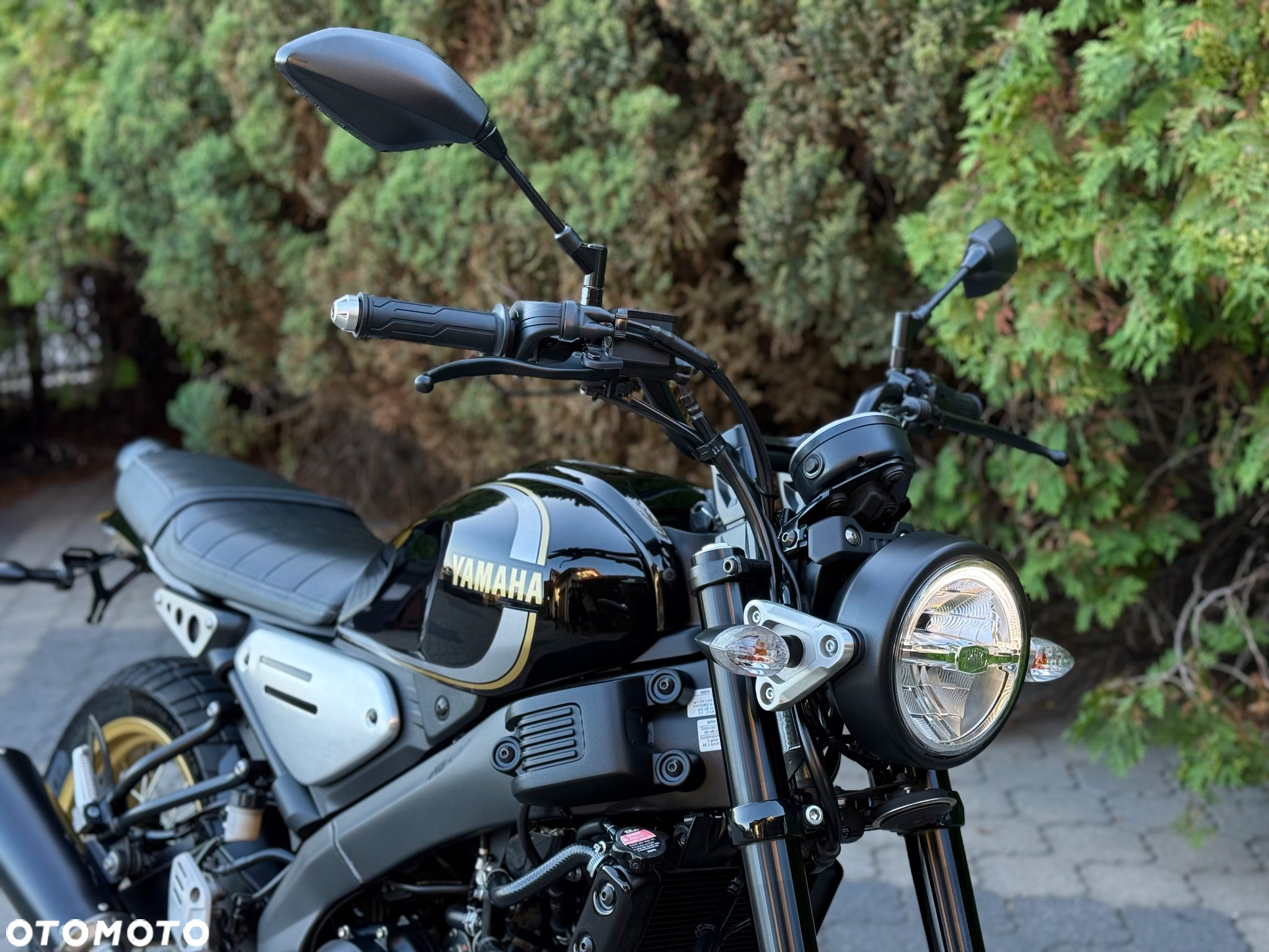 Yamaha XSR - 9