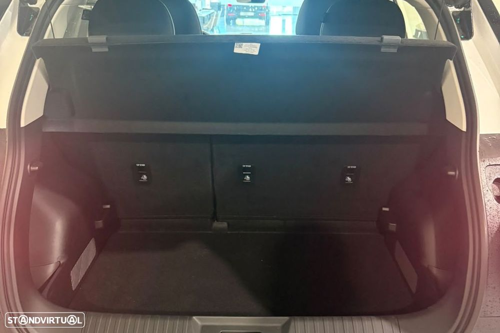 Aion UT 60 kWh Luxury - 9