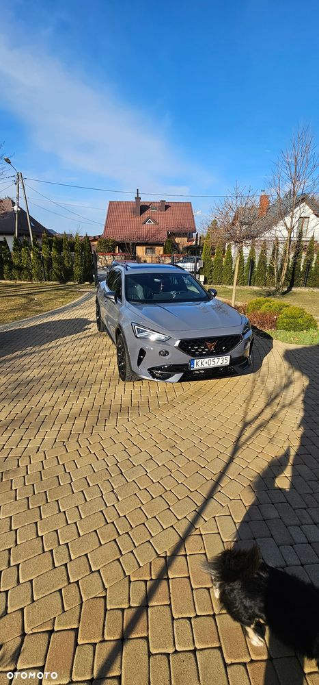 Cupra Formentor 2.0 TSI 4Drive VZ DSG - 1