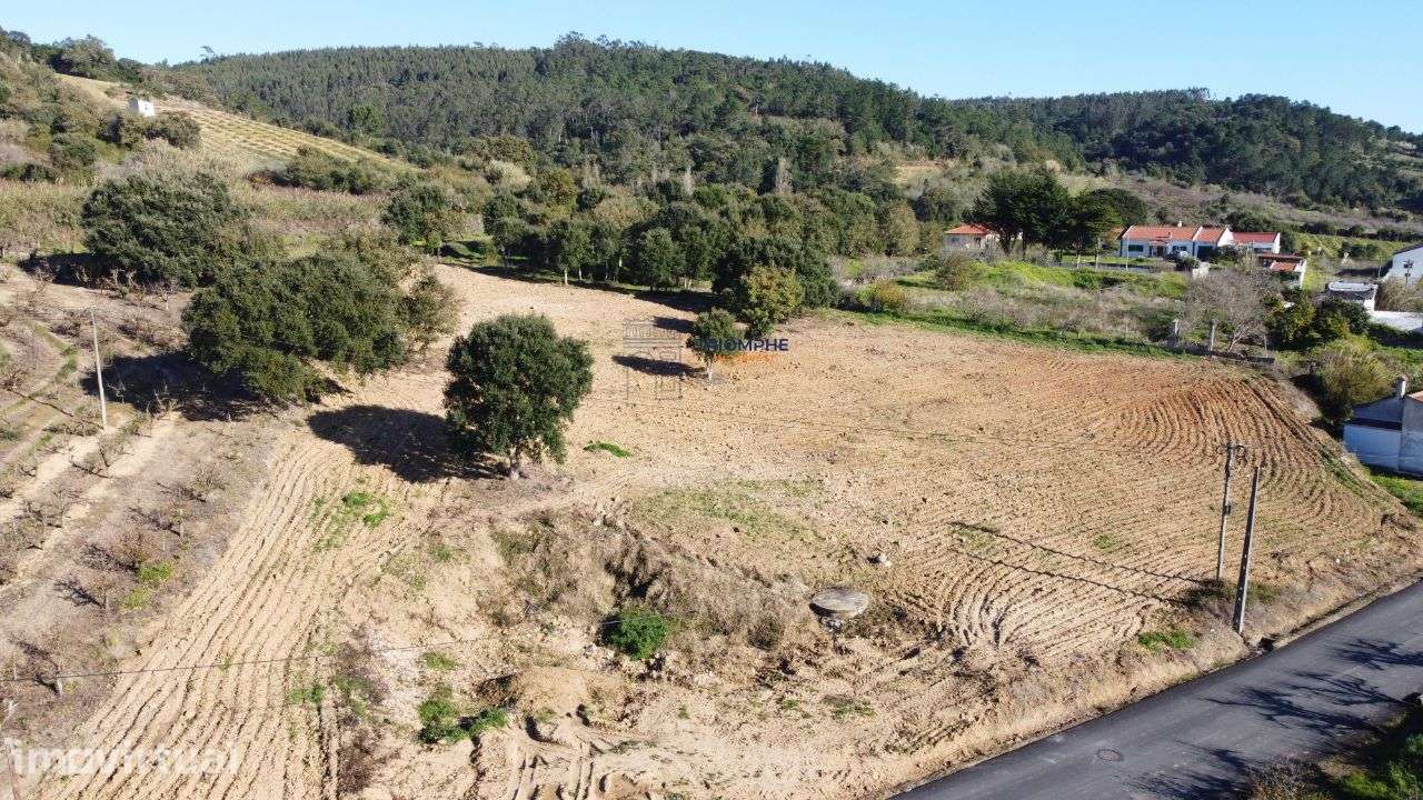 Terreno 10.000m2 c/ possibilidade construção Delgada, Bombarral - Grande imagem: 3/4
