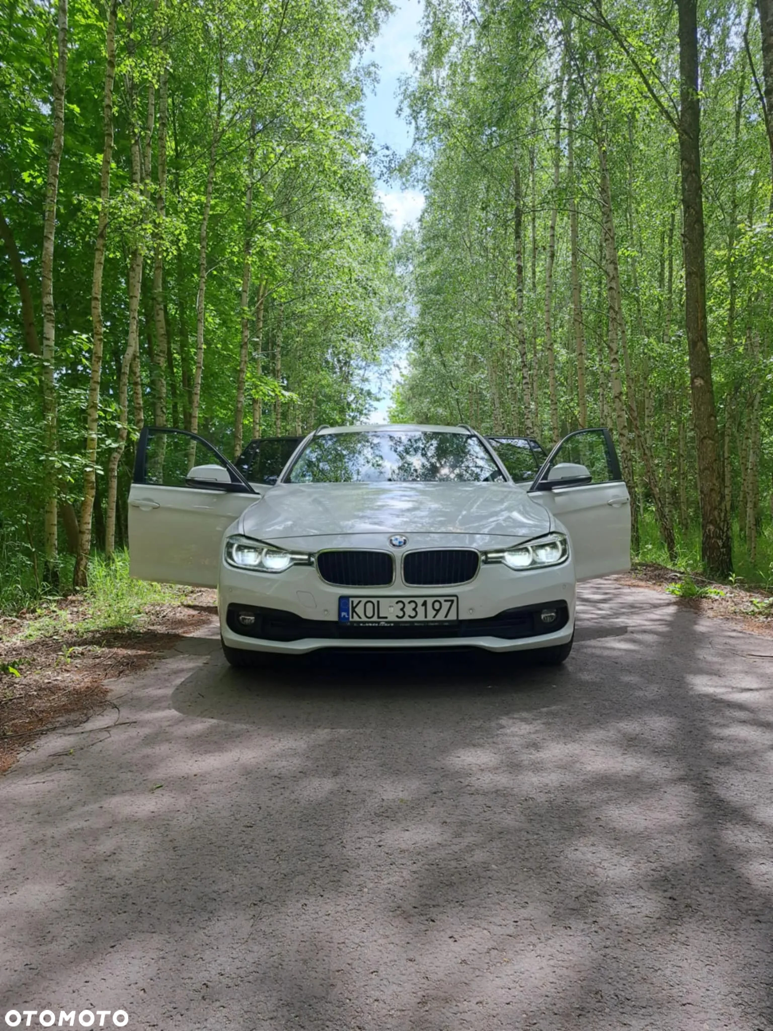 BMW Seria 3 318d Sport Line - 16