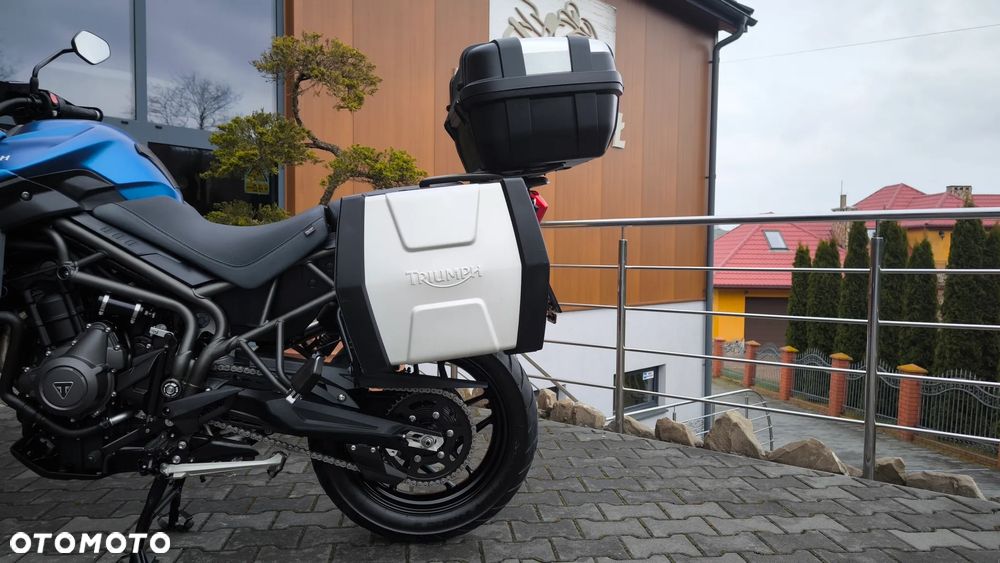 Triumph Tiger - 16