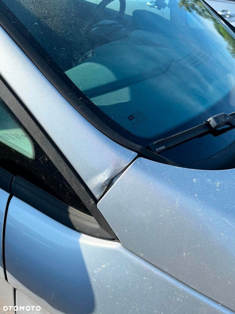 Ford Fiesta - 10