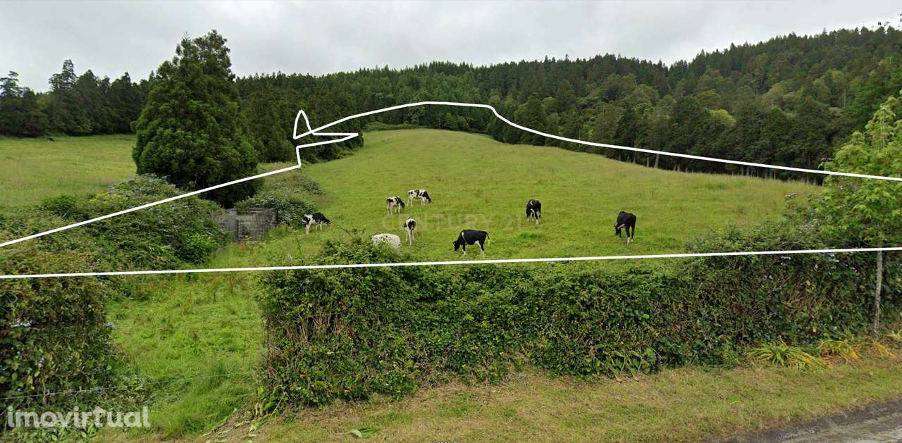 Terreno Agrícola com Vista Panorâmica em Povoação, São Miguel - Grande imagem: 4/9