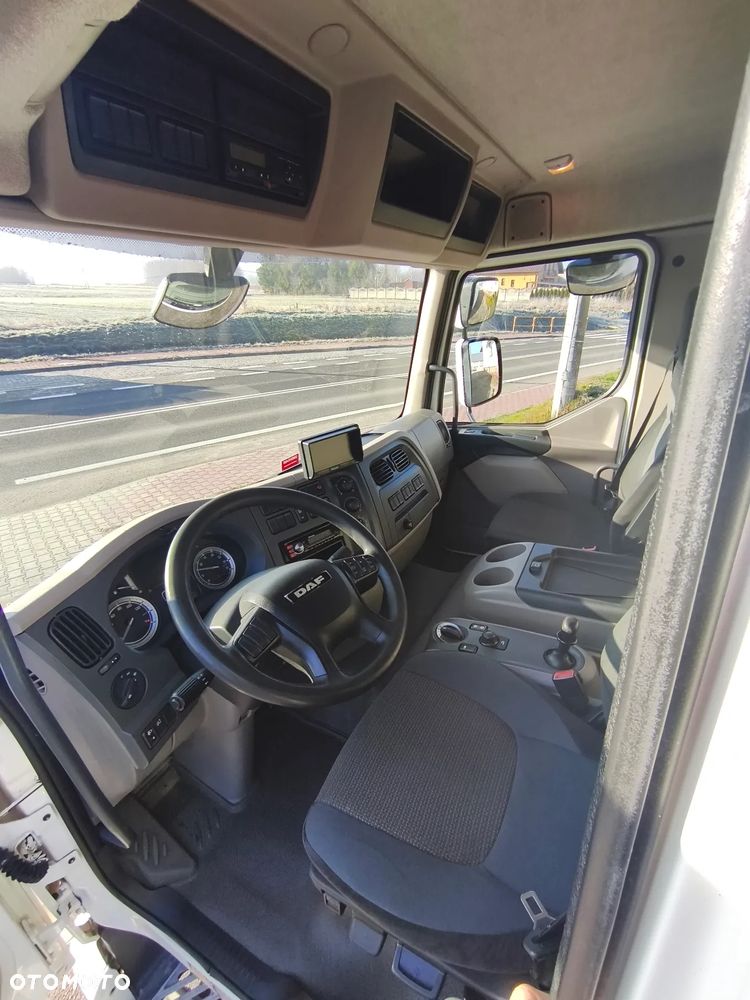 DAF DAF LF 250 / FA 290 / Izoterma / Winda / Holandia / Przebieg 241000 km /18 palet - 13