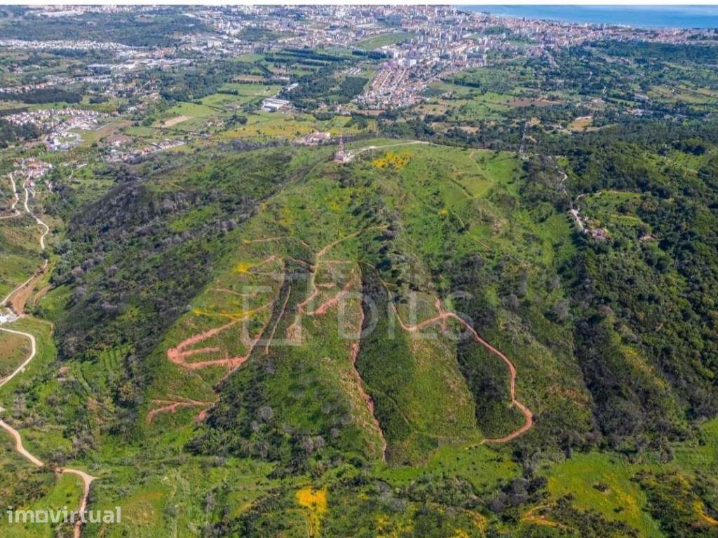 Terreno em Azeitão com projecto aprovado - Grande imagem: 2/11