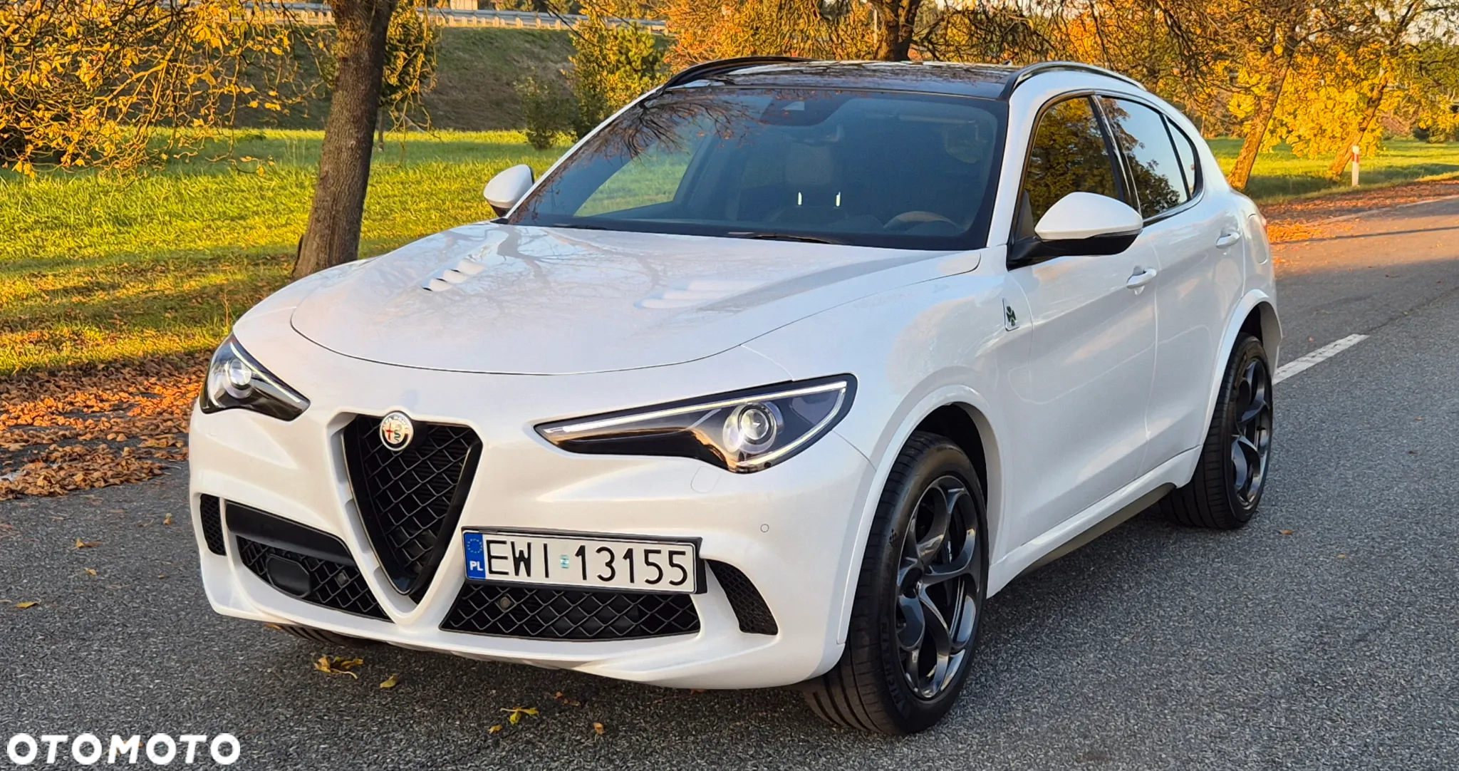 Alfa Romeo Stelvio 2.9 V6 Bi-Turbo Quadrifoglio Q4