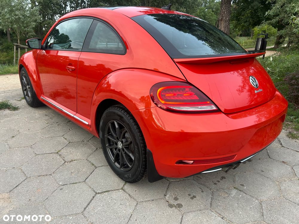 Volkswagen Beetle - 35