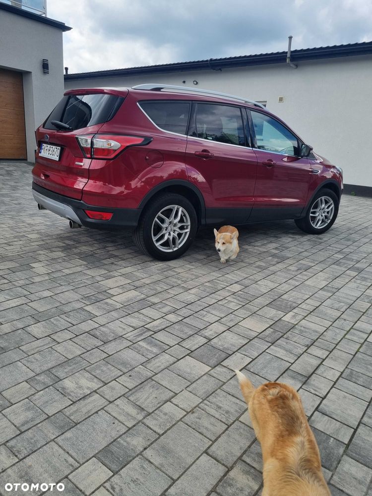 Ford Kuga - 4