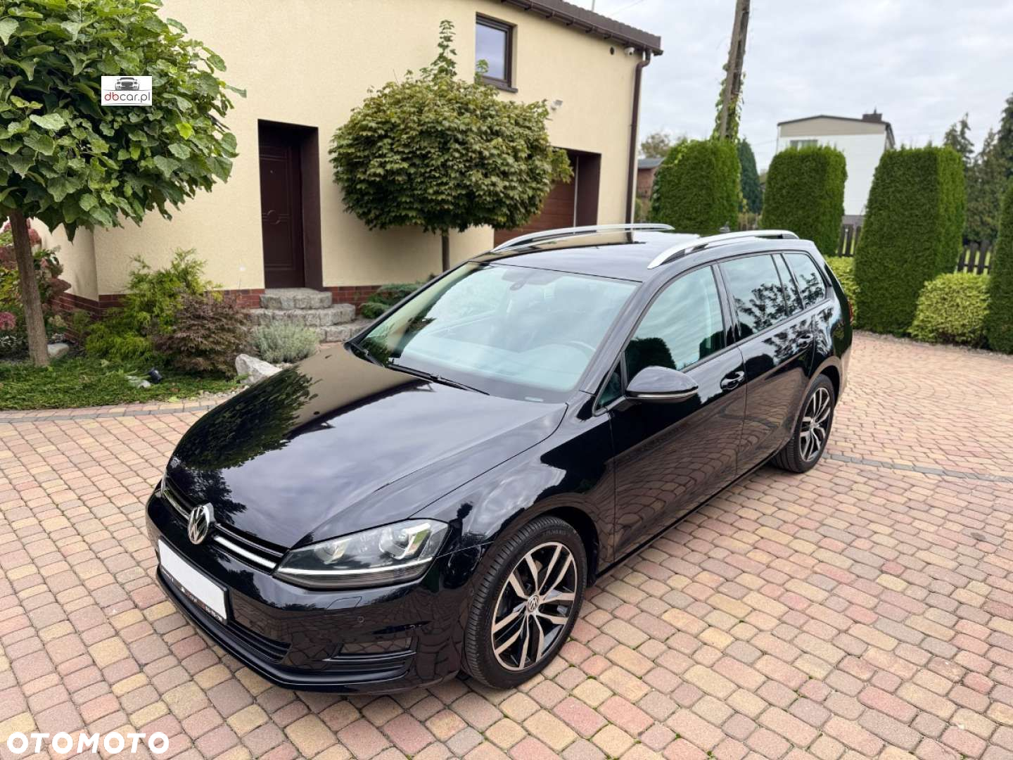Volkswagen Golf - 37