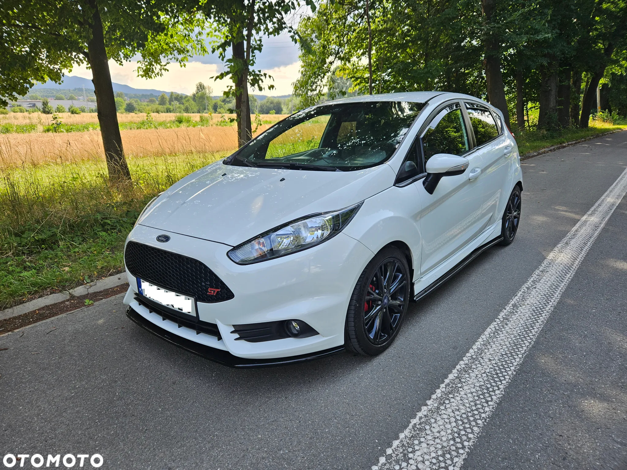 Ford Fiesta 1.6 EcoBoost ST - 3