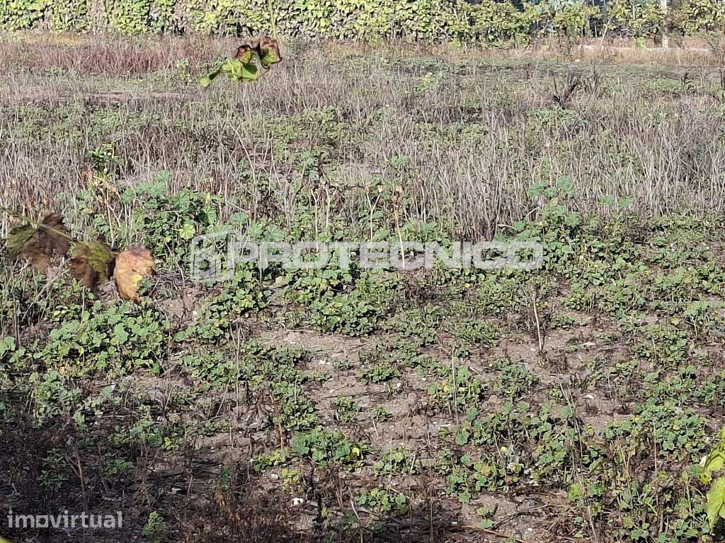 Terreno para Construção com 1.080 m² em Oiã - Grande imagem: 5/5