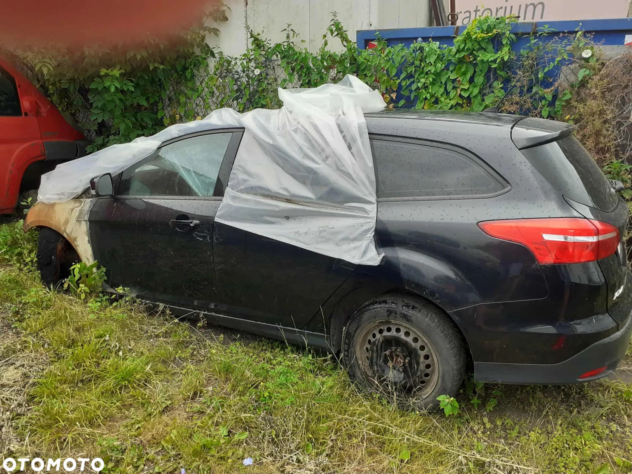 Ford Focus - 1