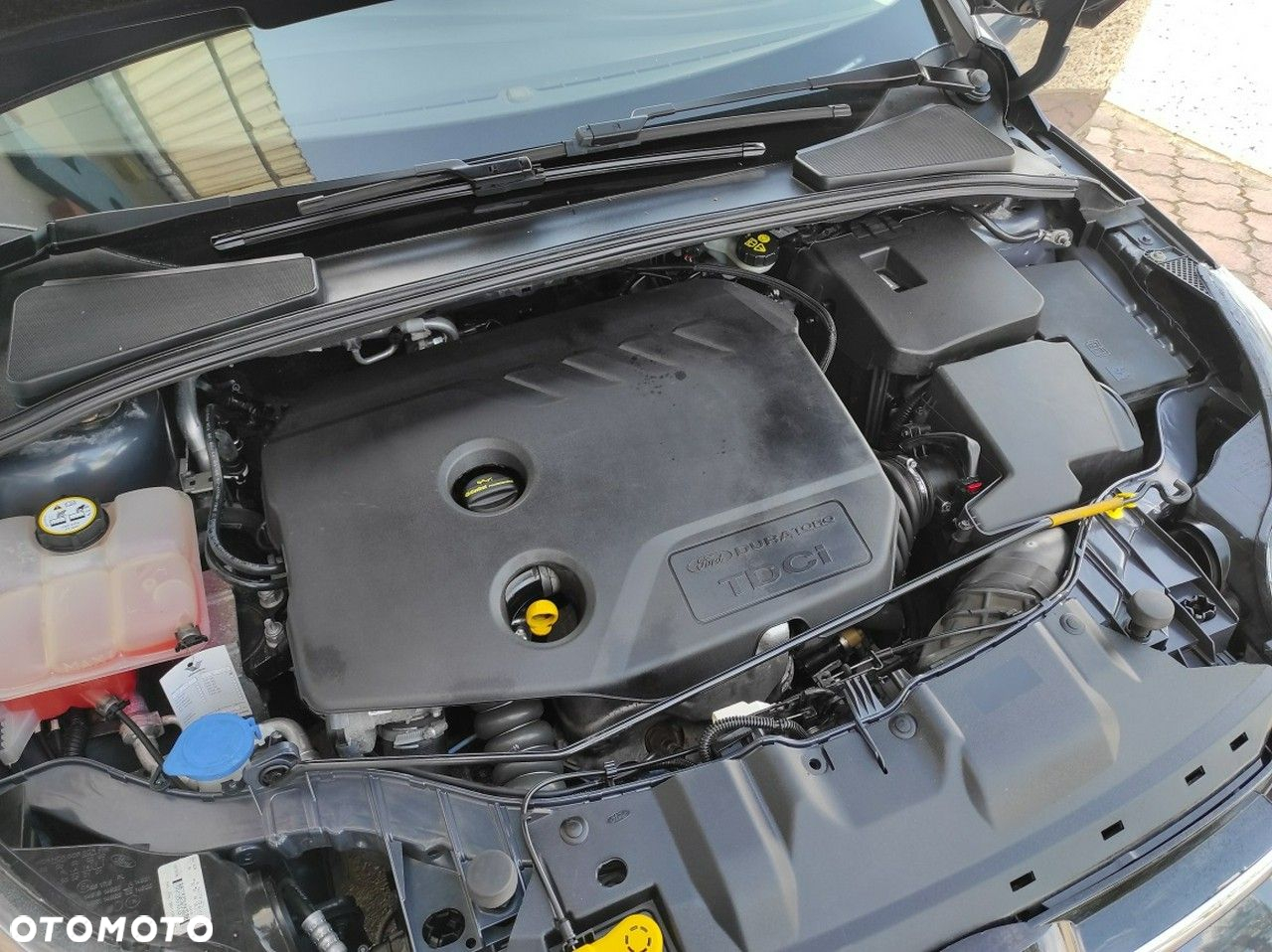 Ford Focus - 17