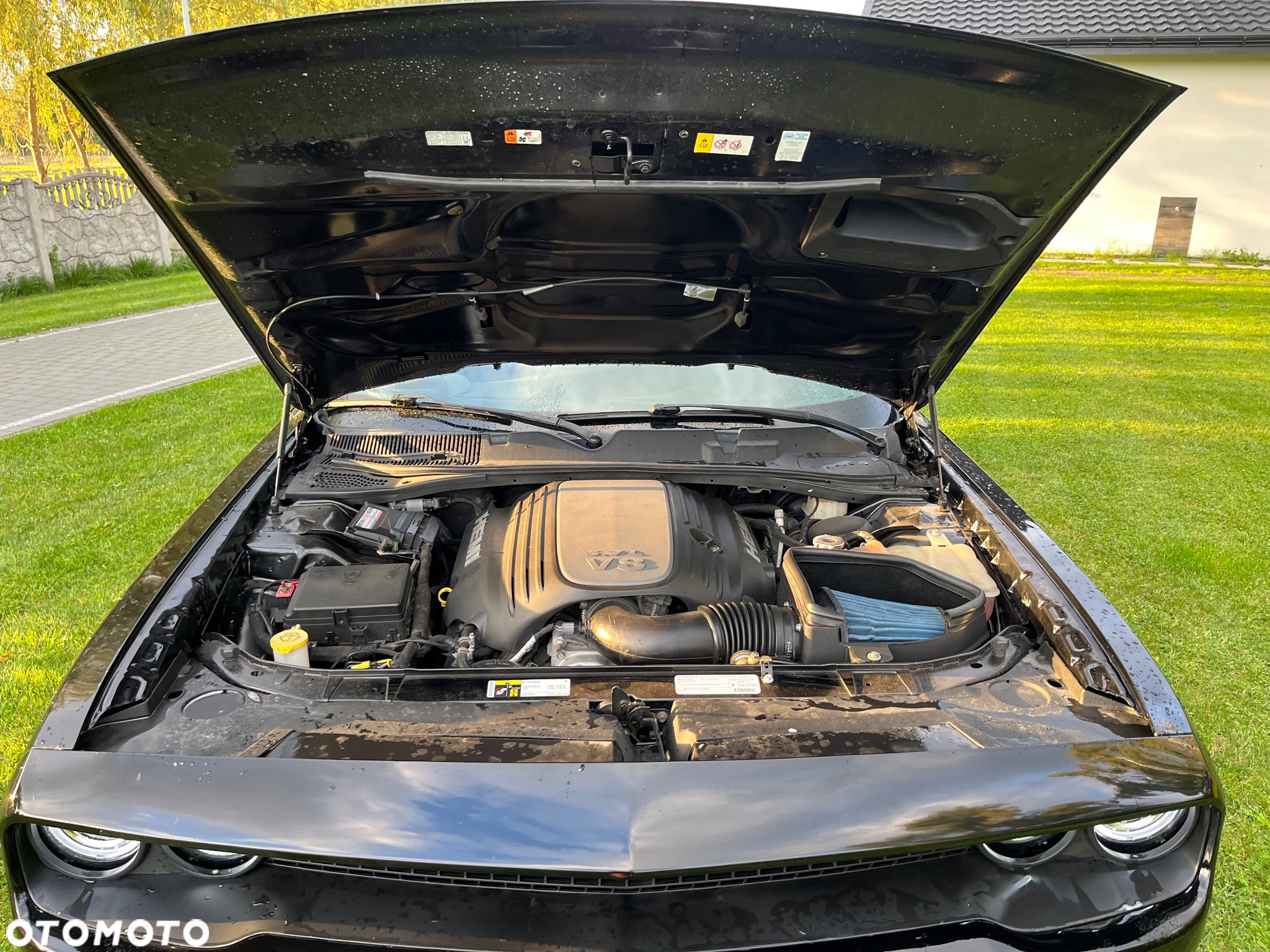 Dodge Challenger - 25