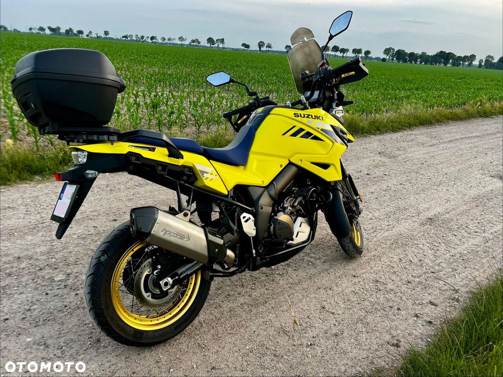 Suzuki DL - 11