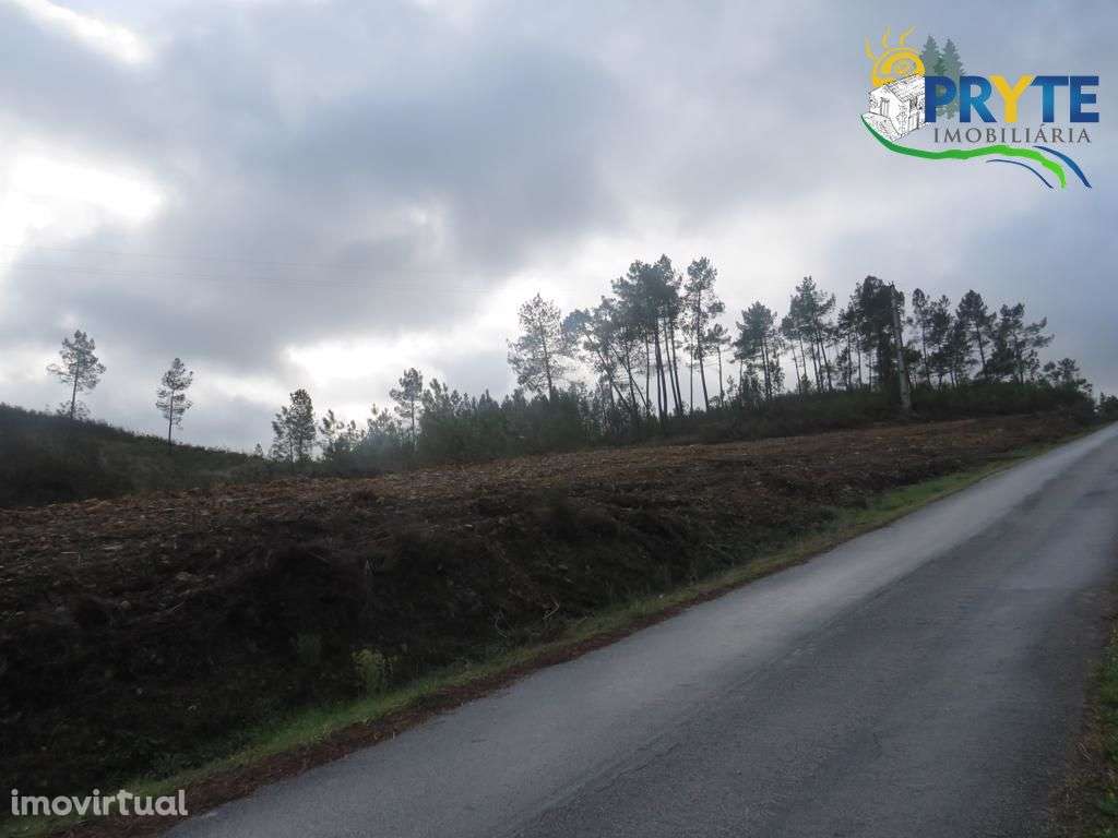 Propriedade com 4.844 metros quadrados situada a 10 km da Sertã - Grande imagem: 3/28
