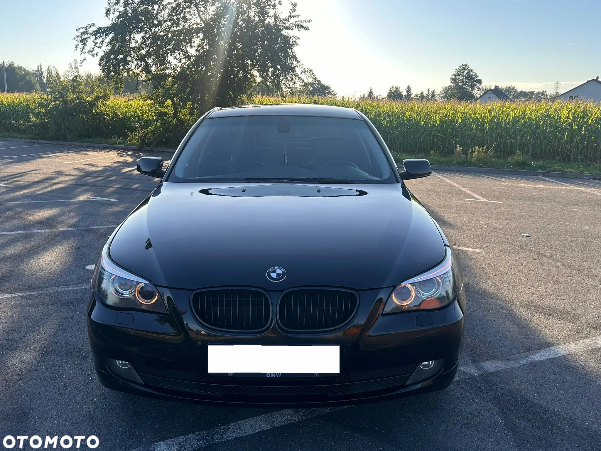 BMW Seria 5 520d - 4
