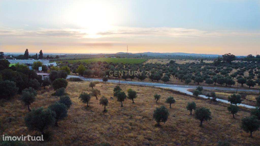 Terreno rústico com 135.500 m2  em solo urbano, urbanizável - em Estre - Grande imagem: 3/7