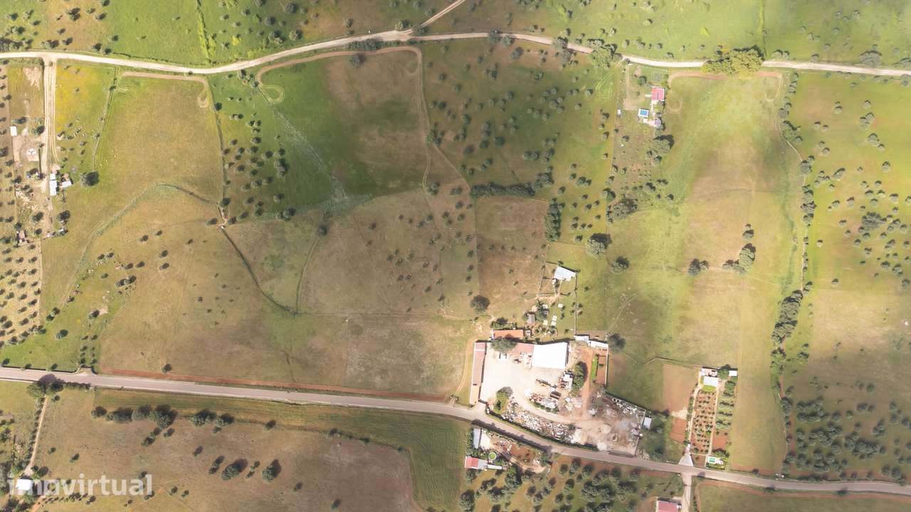 Terreno 9 hectares, água própria e enorme potencial – Alter do Chão - Grande imagem: 4/11