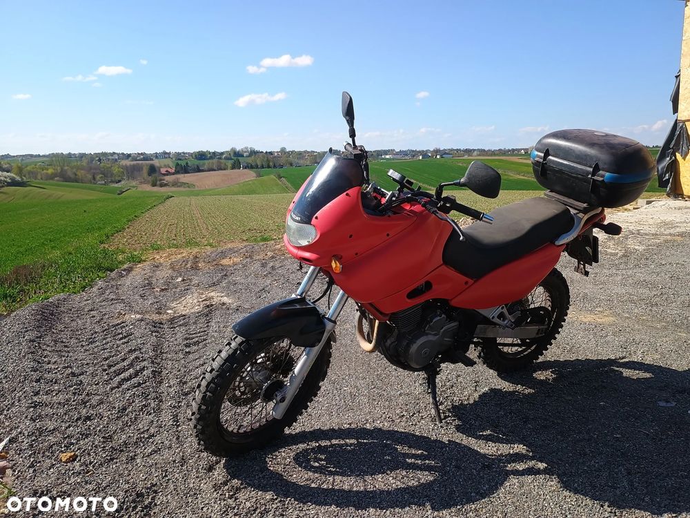 Suzuki XF - 3