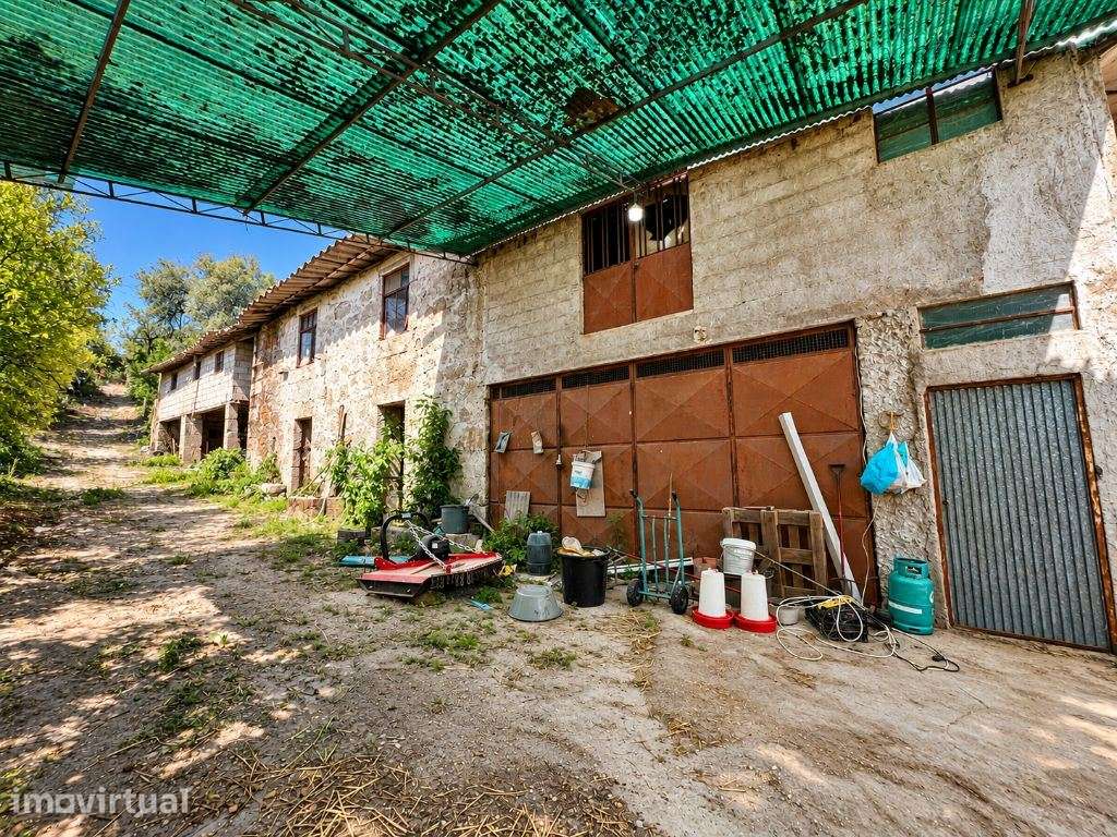 QUINTA COM 3 HECTARES E MORADIA EM PEDRA PARA RESTAURO | SÃO TORCAT... - Grande imagem: 5/20