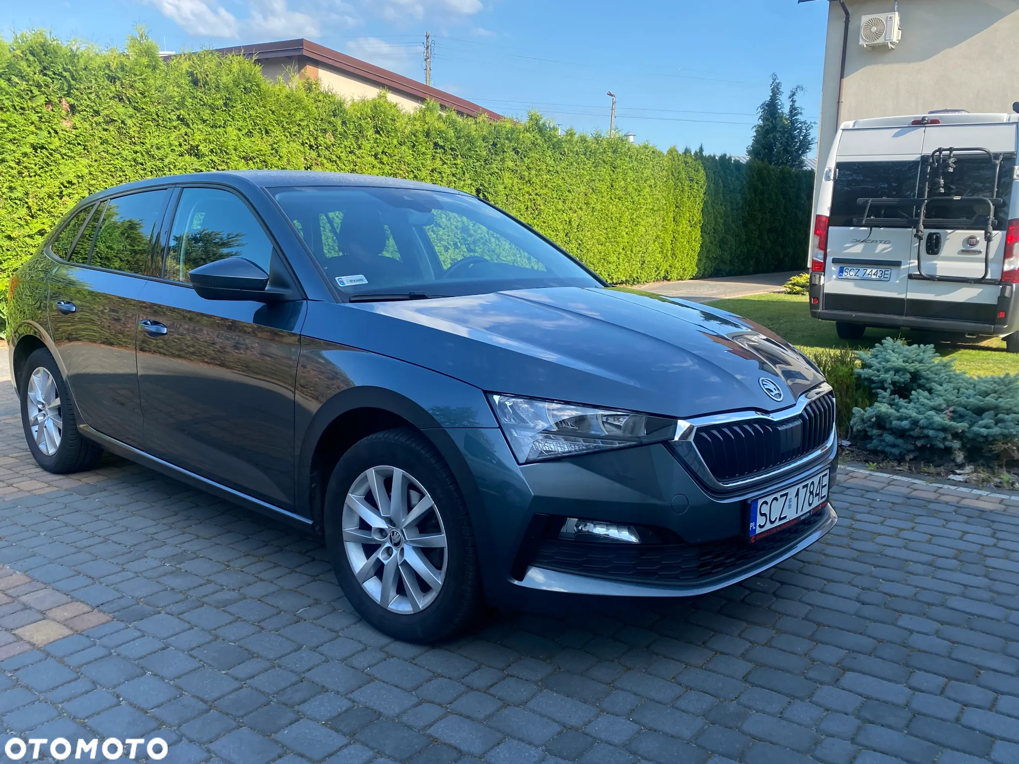 Skoda Scala - 5