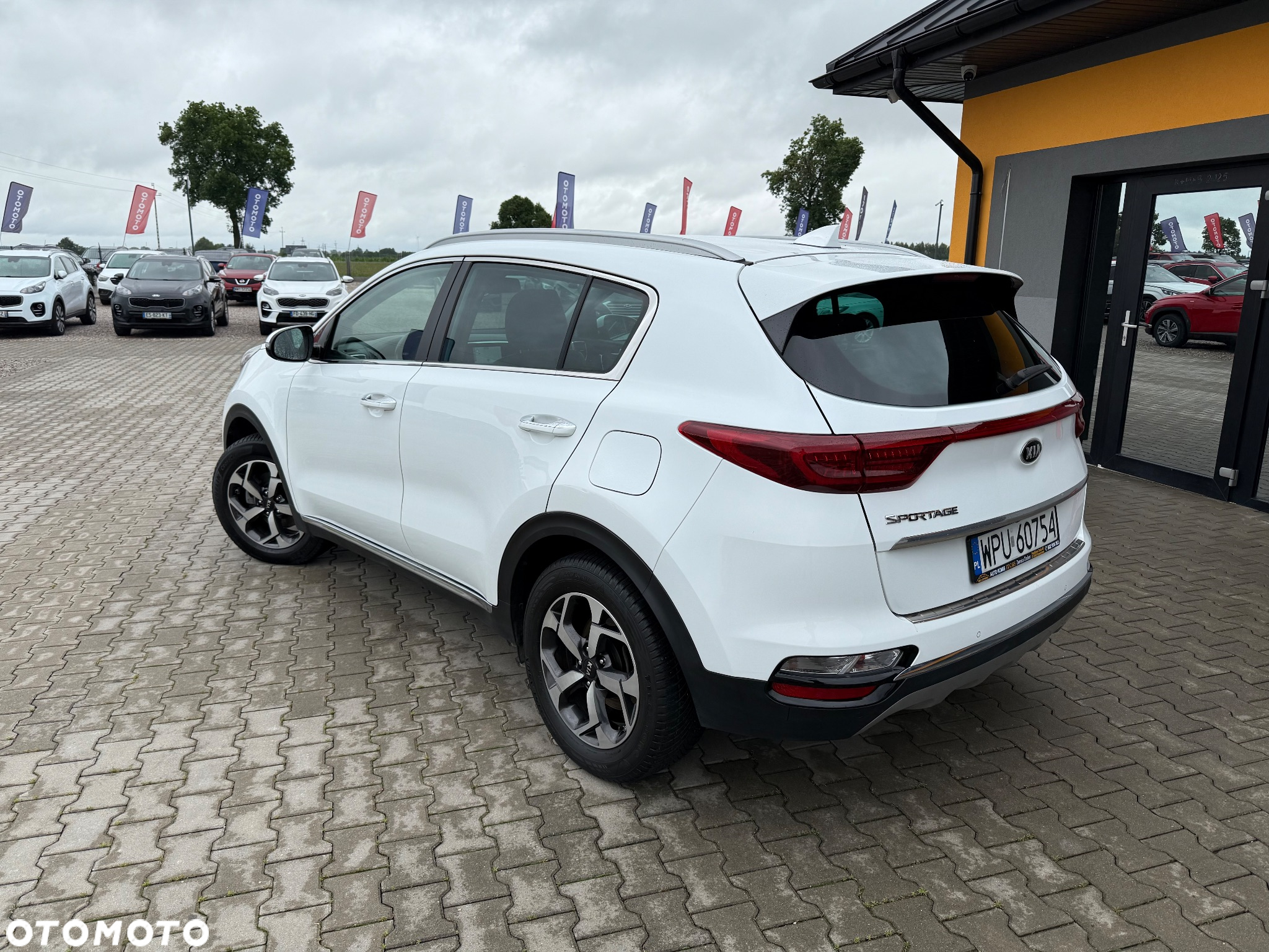Kia Sportage 1.6 CRDI L Business Line Plus 2WD - 4