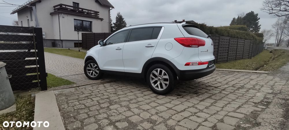 Kia Sportage - 1