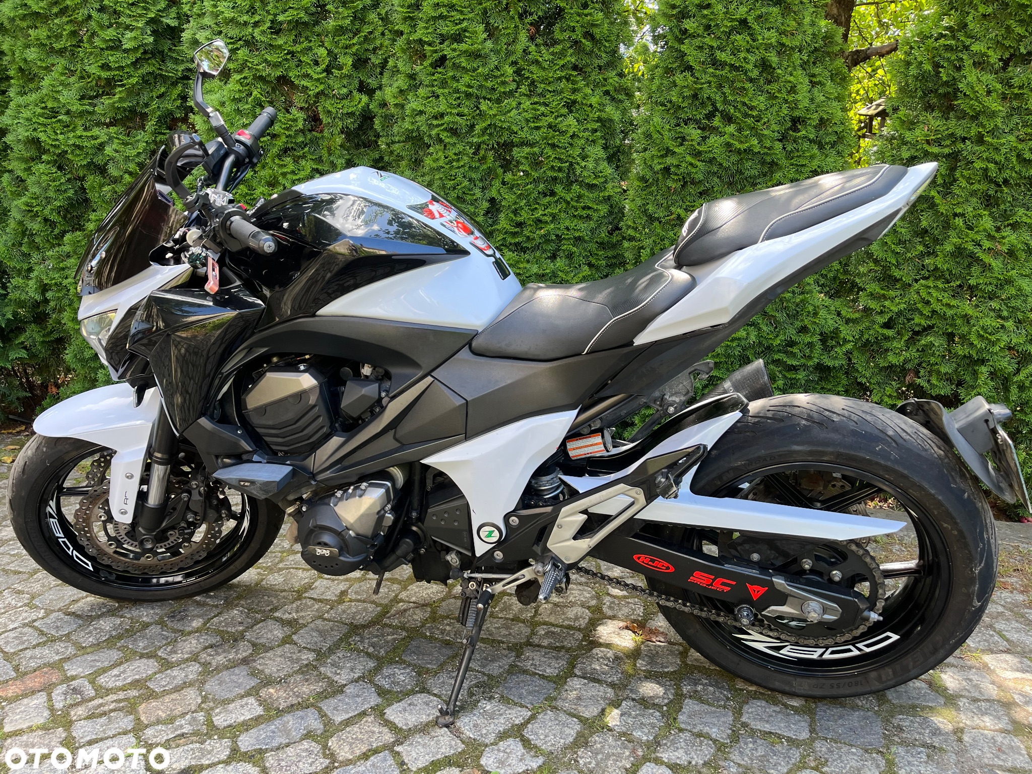 Kawasaki Z - 10