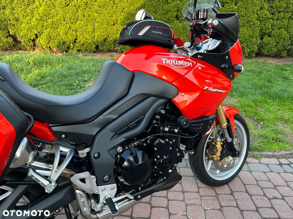 Triumph Tiger - 21